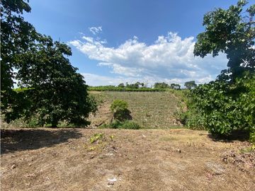 VENTA DE FINCA EN MONTENEGRO QUINDIO