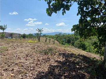 VENTA DE FINCA EN MONTENEGRO QUINDIO