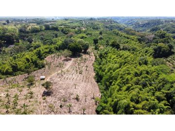 VENTA DE FINCA EN MONTENEGRO QUINDIO