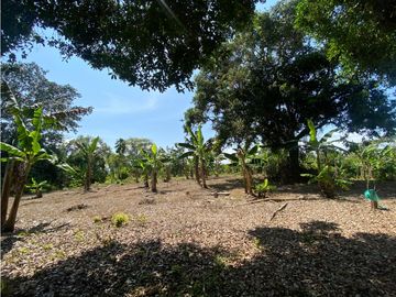 VENTA DE FINCA EN MONTENEGRO QUINDIO