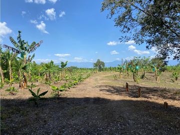 VENTA DE FINCA EN MONTENEGRO QUINDIO