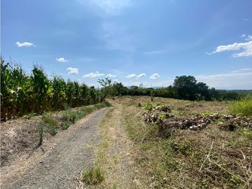 VENTA DE FINCA EN MONTENEGRO QUINDIO