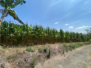 VENTA DE FINCA EN MONTENEGRO QUINDIO