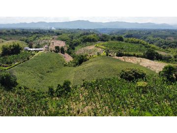 VENTA DE FINCA EN MONTENEGRO QUINDIO