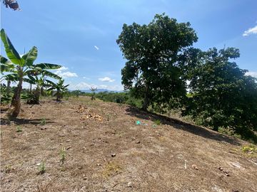 VENTA DE FINCA EN MONTENEGRO QUINDIO