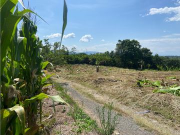 VENTA DE FINCA EN MONTENEGRO QUINDIO