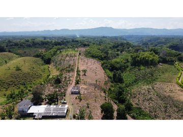 VENTA DE FINCA EN MONTENEGRO QUINDIO