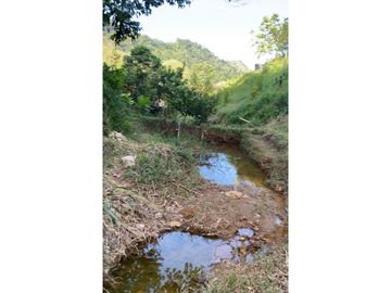 GANGA - VENTA DE FINCA PARA PISCICULTURA EN SAN LUIS -  PLAYA LINDA