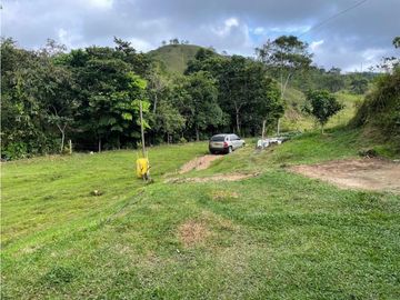GANGA - VENTA DE FINCA PARA PISCICULTURA EN SAN LUIS -  PLAYA LINDA