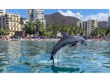 Apartamento Turístico en primera Línea de playa - Rodadero 005