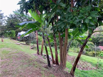 Venta de Casa Finca con propiedades para arrendar, Rionegro