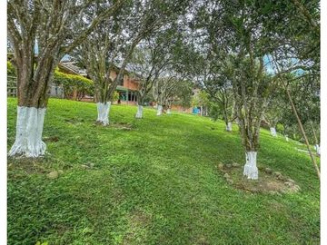 FINCA EN VENTA EN ARABIA