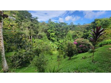 VENTA FINCA VEREDA LA LORENA LLANOGRANDE