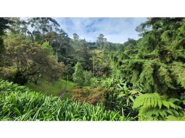 VENTA FINCA VEREDA LA LORENA LLANOGRANDE