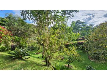 VENTA FINCA VEREDA LA LORENA LLANOGRANDE