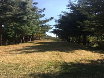 Terreno en venta Fraccionamiento Los Madroños, Charo, Michoacán