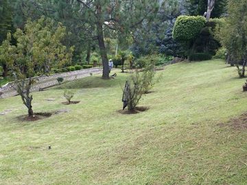 Terreno en venta Fraccionamiento Los Madroños, Charo, Michoacán
