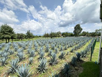 Propiedad en VENTA sobre Carretera Morelia-Pátzcuaro, Municipio de Tiripetío