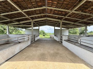 Propiedad en VENTA sobre Carretera Morelia-Pátzcuaro, Municipio de Tiripetío