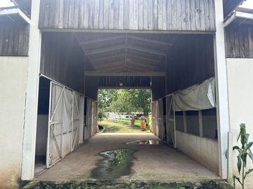 Propiedad en VENTA sobre Carretera Morelia-Pátzcuaro, Municipio de Tiripetío