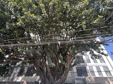 Departamento en Venta en Providencia 