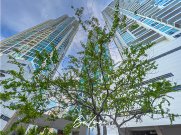 VENTA APARTAMENTO PISO ALTO EN PUNTA PACFICA PH OCEANAIRE (6)