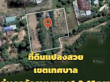 Land for sale in Chakkarat, Nakhon Ratchasima
