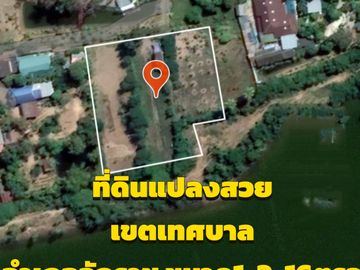 Land for sale in Chakkarat, Nakhon Ratchasima