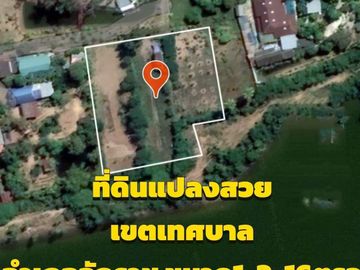 Land for sale in Chakkarat, Nakhon Ratchasima