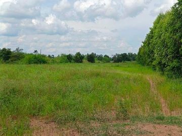 Land for sale in Chakkarat, Nakhon Ratchasima