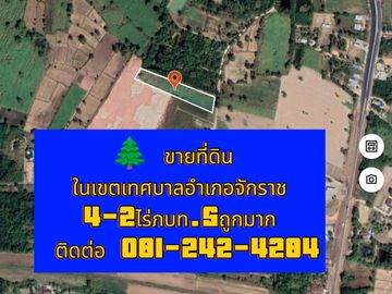 Land for sale in Chakkarat, Nakhon Ratchasima