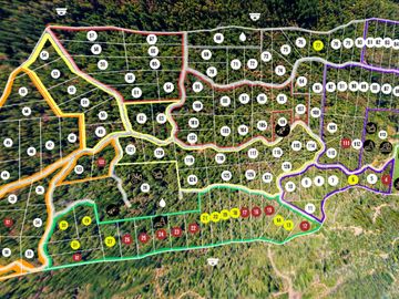 Venta Parcela - 5.000 m2 - Cauquenes