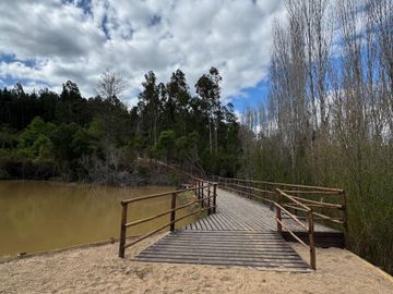Venta Parcela - 5.000 m2 - Cauquenes