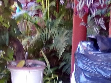 Casa en VENTA sobre calle asfaltada a pocas cuadras de la estación de Glew.
