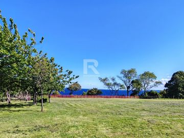 CASA Y CABAÑAS TURÍSTICAS FRENTE LAGO LLANQUIHUE, LOS BAJOS