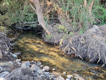 Agrícola en Venta en Fundo Lircay Etapa 1 Lote 25