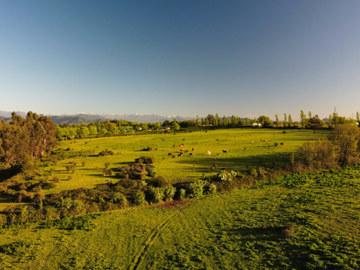 Agrícola en Venta en PARCELA 38 SANTA ISABEL Lt 26