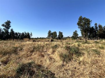 Sitio en Venta en Hermosa parcela en Ñuble Alto, Sector Parque Lantaño