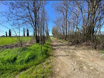 Agrícola en Venta en Km 14 Camino a Pinto, Callejon Bustamante