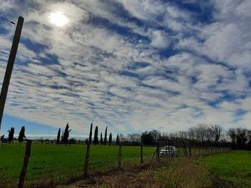 Agrícola en Venta en Km 14 Camino a Pinto, Callejon Bustamante