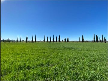 Agrícola en Venta en Km 14 Camino a Pinto, Callejon Bustamante