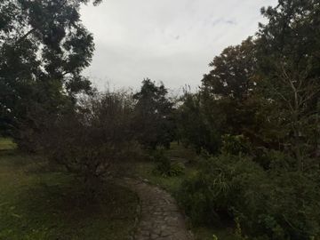 CASA QUINTA -  ALTO DE TARUCA PAMPA