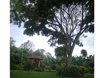 VENTA CASA CAMPESTRE VEREDA DEL MUNICIPIO DE MONTENEGRO QUINDIO