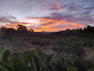 VENTA DE EXCLUSIVA CASA CAMPESTRE EN LLANO GRANDE