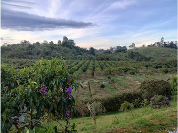 VENTA DE EXCLUSIVA CASA CAMPESTRE EN LLANO GRANDE