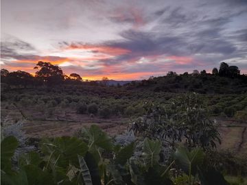 VENTA DE EXCLUSIVA CASA CAMPESTRE EN LLANO GRANDE