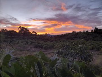 VENTA DE EXCLUSIVA CASA CAMPESTRE EN LLANO GRANDE