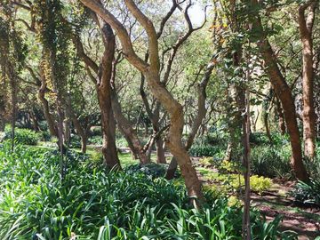 Maranta Bosques Departamento en venta en Lomas de Vista Hermosa