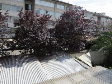 Casa en Venta en Valenzuela Castillo N° 1200