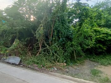 Land for sale in Phlapphla, Bangkok
